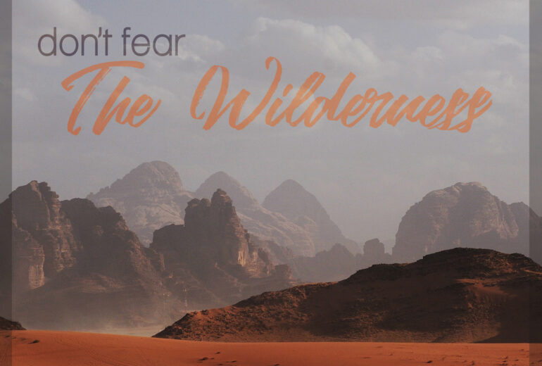 Don’t Fear The Wilderness