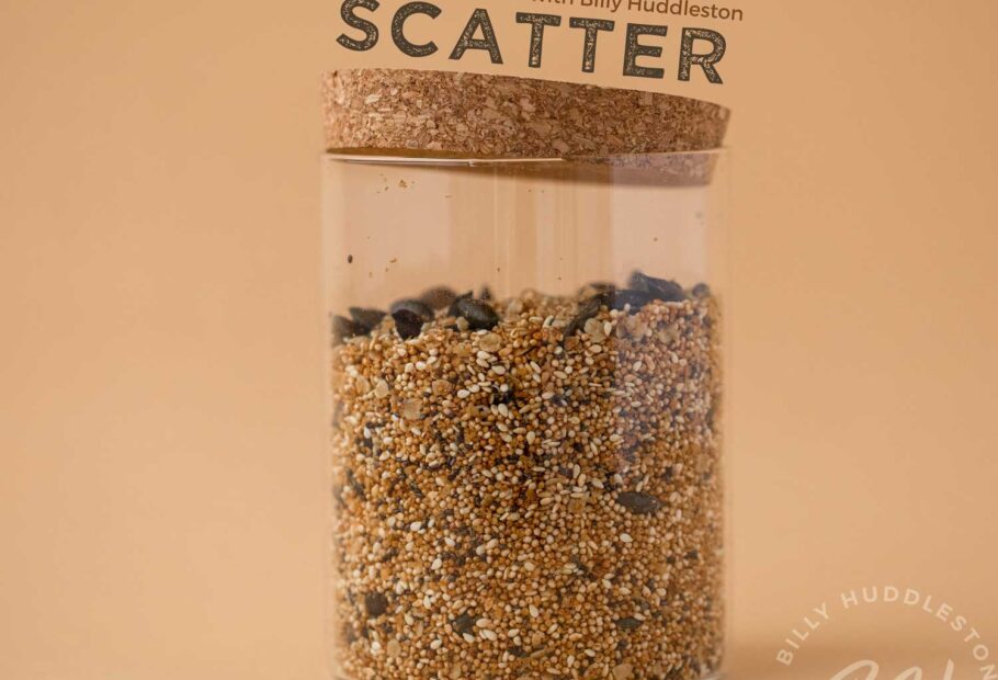 Scatter The Seed